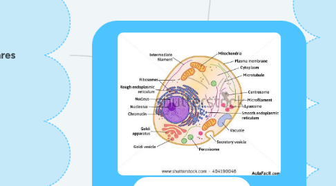 Mind Map: Composición de las células