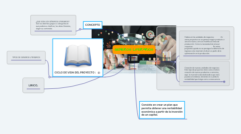 Mind Map: PROYECTO DE INVERSIÓN PRIVADA