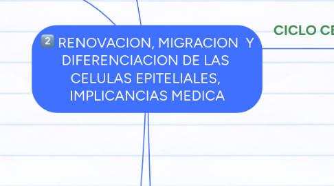 Mind Map: RENOVACION, MIGRACION Y DIFERENCIACION DE LAS CELULAS EPITELIALES, IMPLICANCIAS MEDICA