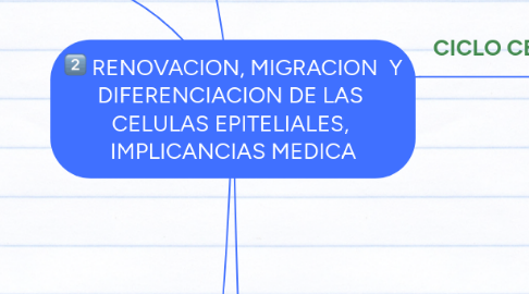 Mind Map: RENOVACION, MIGRACION  Y DIFERENCIACION DE LAS  CELULAS EPITELIALES,  IMPLICANCIAS MEDICA