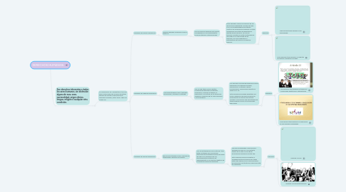 Mind Map: DERECHOS HUMANOS.