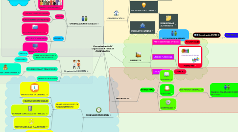 Mind Map: Conceptualización DE Organización Y TIPOS DE ORGANIZACIóN