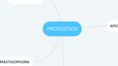 Mind Map: PROTOZOOS