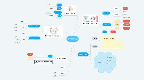 Mind Map: Osteologia