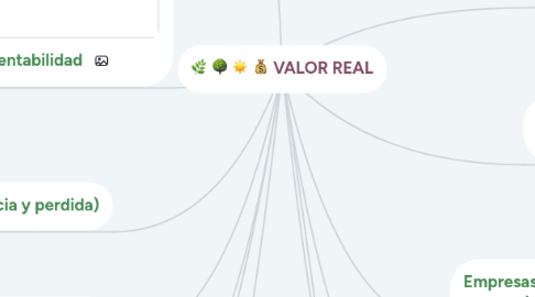 Mind Map: VALOR REAL