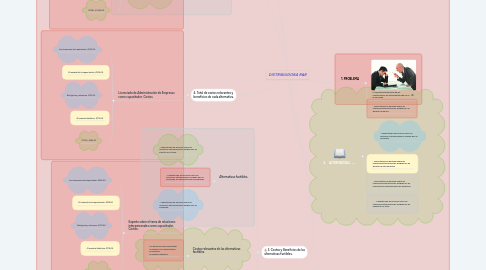 Mind Map: DISTRIBUIDORA R&R