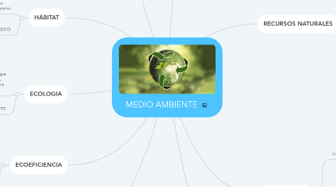 Mind Map: MEDIO AMBIENTE