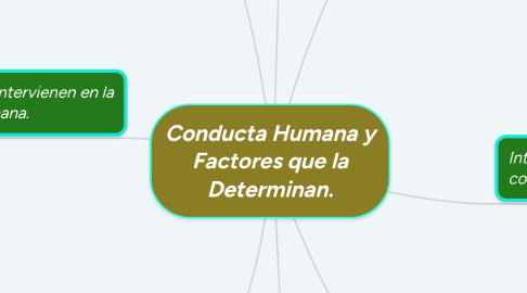 Mind Map: Conducta Humana y Factores que la Determinan.