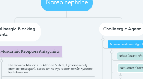 Mind Map: Norepinephrine