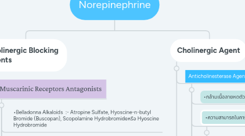 Mind Map: Norepinephrine