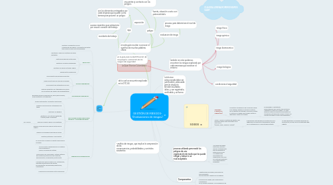 Mind Map: GESTIÓN DE RIESGOS- (Evaluaciones de riesgos)