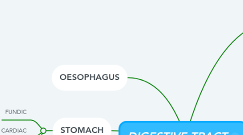 Mind Map: DIGESTIVE TRACT