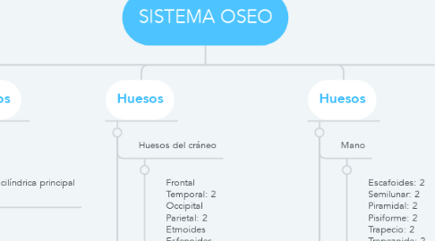 Mind Map: SISTEMA OSEO