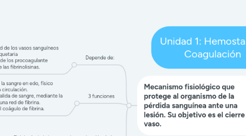 Mind Map: Unidad 1: Hemostasia y Coagulación