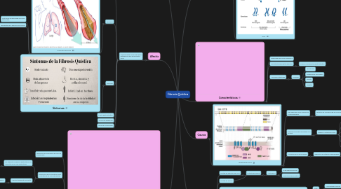 Mind Map: Fibrosis Quística