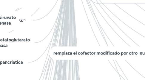 Mind Map: cofactor