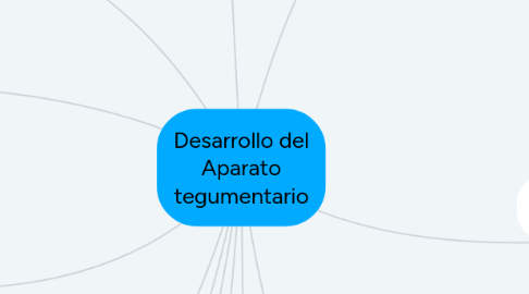 Mind Map: Desarrollo del Aparato tegumentario