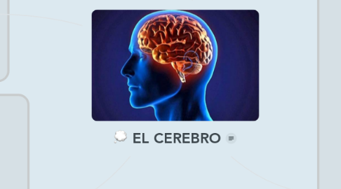 Mind Map: EL CEREBRO