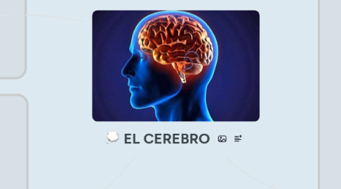 Mind Map: EL CEREBRO