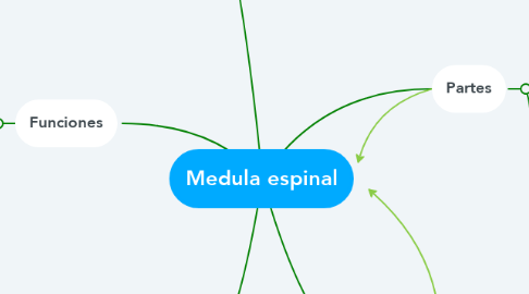 Mind Map: Medula espinal
