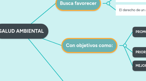 Mind Map: SALUD AMBIENTAL