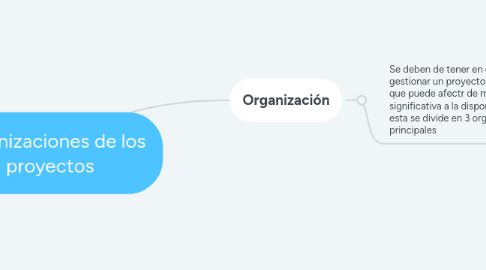 Mind Map: Organizaciones de los proyectos