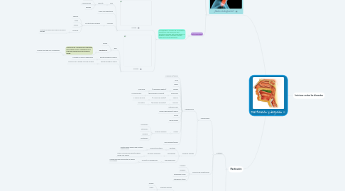 Mind Map: Masticación y deglución