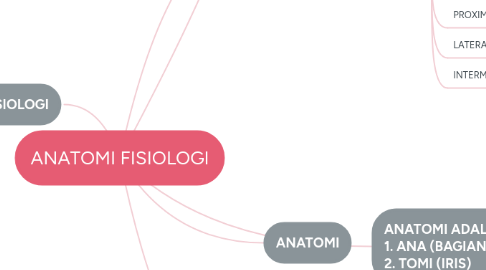 Mind Map: ANATOMI FISIOLOGI