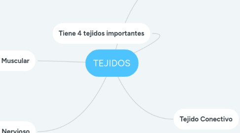 Mind Map: TEJIDOS