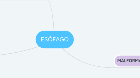 Mind Map: ESÓFAGO