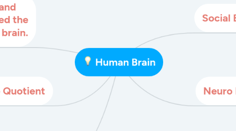 Mind Map: Human Brain