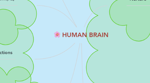 Mind Map: HUMAN BRAIN