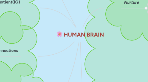 Mind Map: HUMAN BRAIN