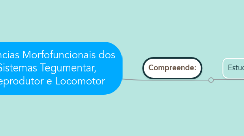 Mind Map: Ciências Morfofuncionais dos Sistemas Tegumentar, Reprodutor e Locomotor