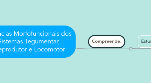 Mind Map: Ciências Morfofuncionais dos Sistemas Tegumentar,  Reprodutor e Locomotor