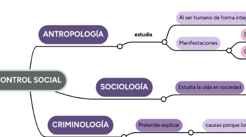 Mind Map: CONTROL SOCIAL