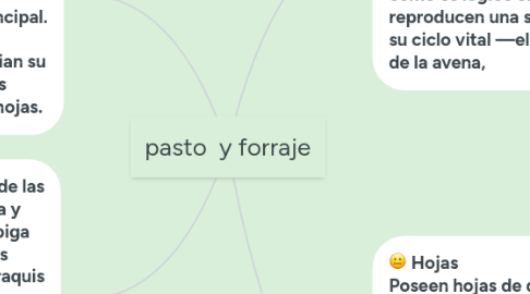 Mind Map: pasto  y forraje