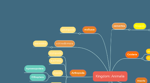 Mind Map: Kingdom: Animalia