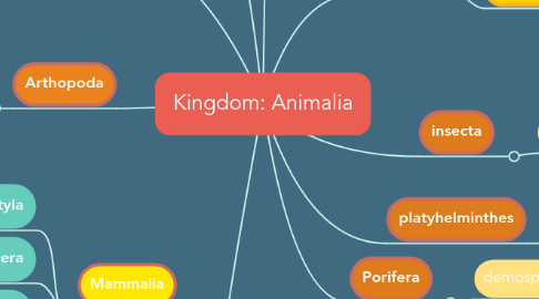 Mind Map: Kingdom: Animalia