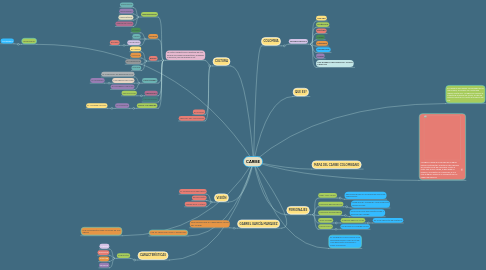 Mind Map: CARIBE