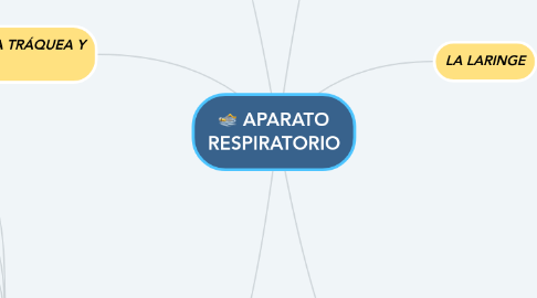 Mind Map: APARATO RESPIRATORIO