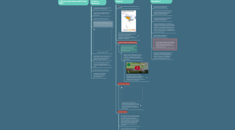 Mind Map: Incendio Amazonía Colombiana 2019 realizado por grupo F Cristian Camilo Romero, Nathalia Suárez, Bismark Rodriguez y Víctor Ramírez