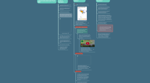 Mind Map: Incendio Amazonía Colombiana  2019   realizado por grupo F Cristian Camilo Romero, Nathalia Suárez, Bismark Rodriguez y Víctor Ramírez