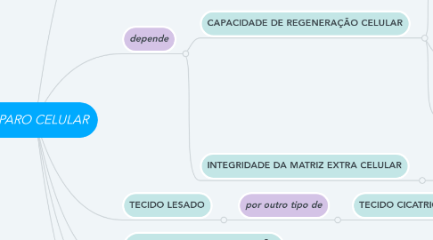 Mind Map: REPARO CELULAR