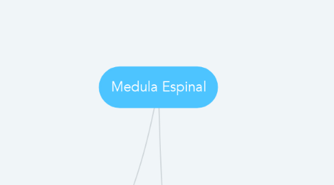 Mind Map: Medula Espinal