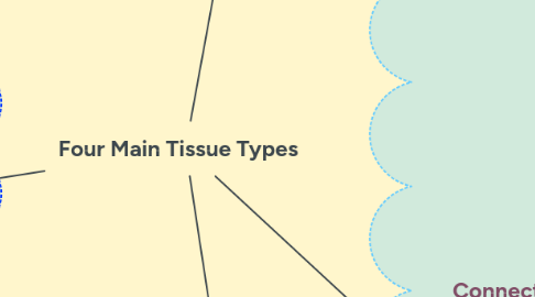 Mind Map: Four Main Tissue Types