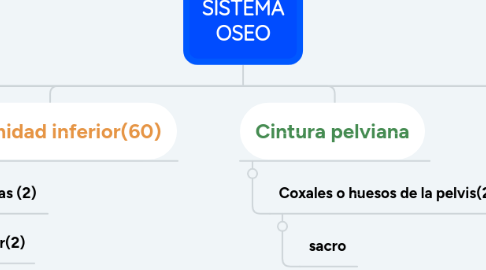 Mind Map: SISTEMA OSEO