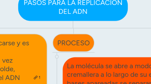 Mind Map: PASOS PARA LA REPLICACION DEL ADN