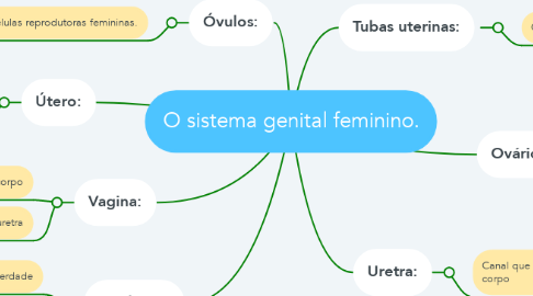 Mind Map: O sistema genital feminino.