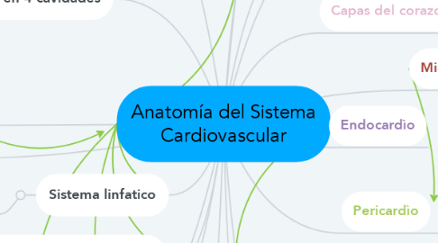 Mind Map: Anatomía del Sistema Cardiovascular